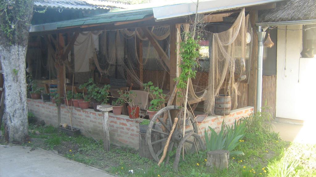Farm Stay Lackovic Bilje Extérieur photo