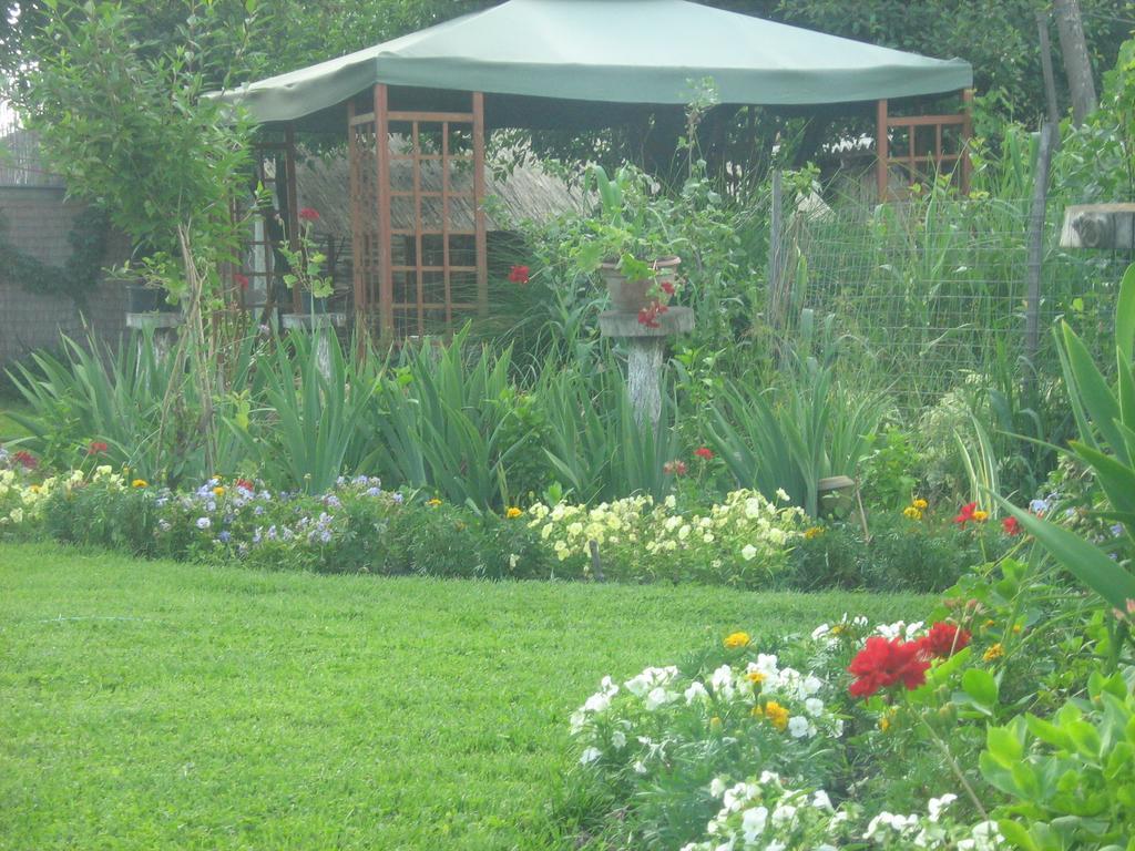 Farm Stay Lackovic Bilje Extérieur photo