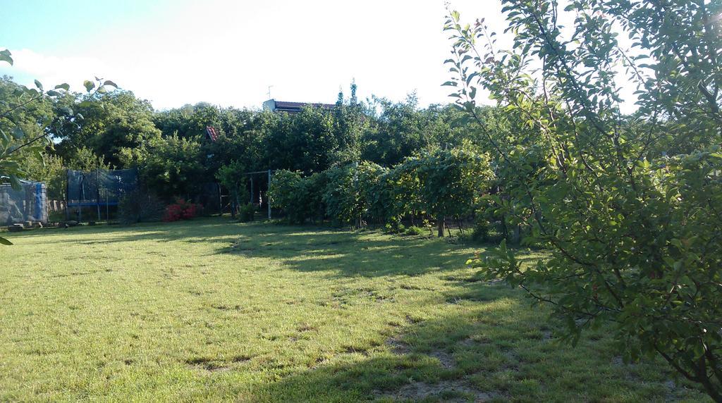 Farm Stay Lackovic Bilje Extérieur photo