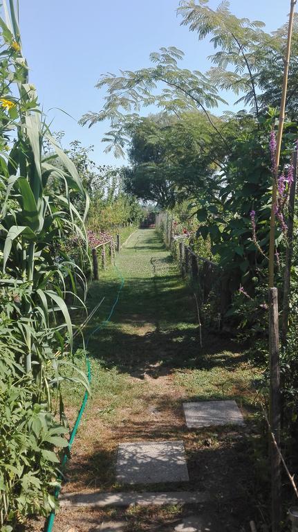 Farm Stay Lackovic Bilje Extérieur photo